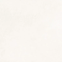 Керамогранит Дэлишн Вайт RLF (Delishn White) 60х60