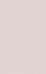 Плитка Monica natural 25х40